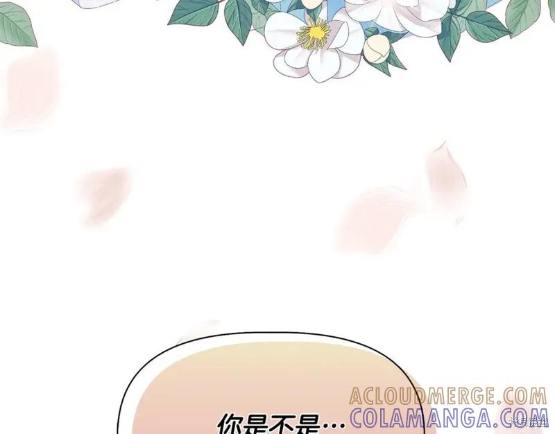 我不再是灰姑娘 第57话 第161页