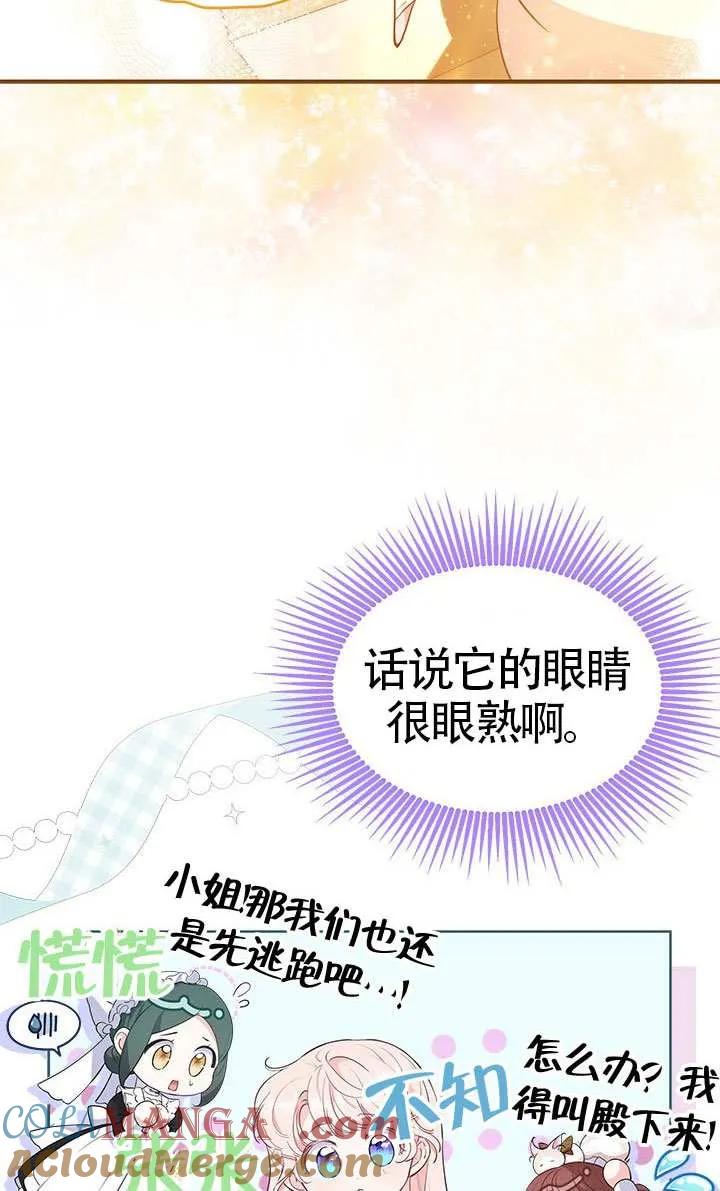 我拒绝了宠爱，为什么还要执着啊 第30话 第19页