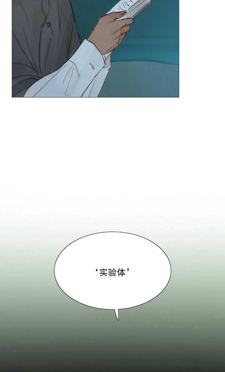 黑色冬季 第104话 第43页