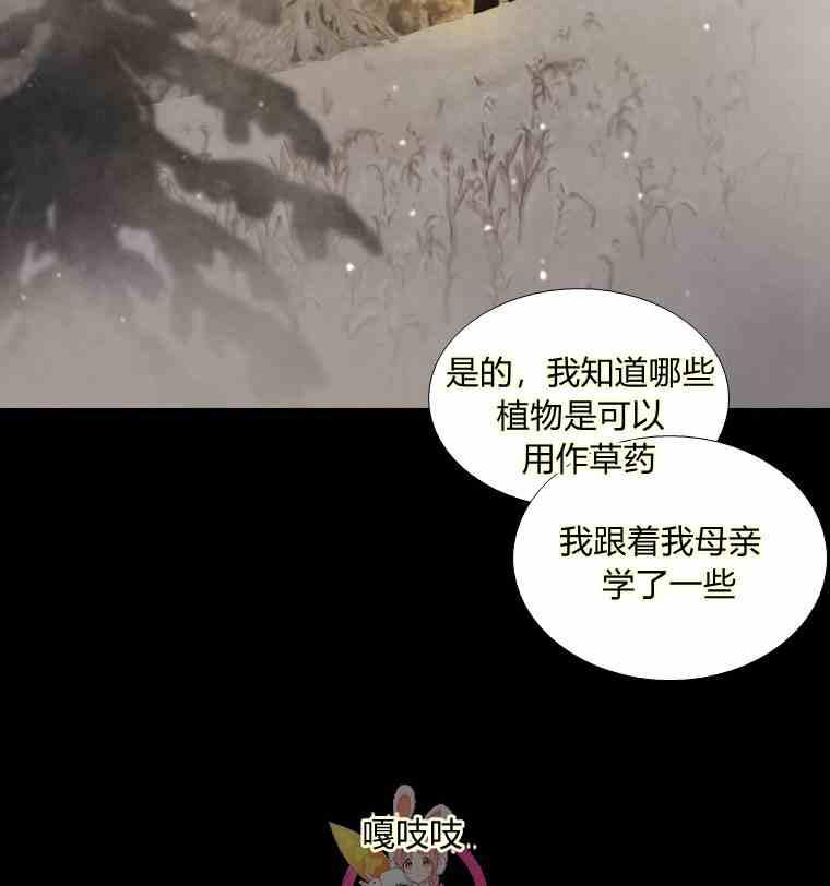 黑色冬季 第35话 干枯的树枝 第36页
