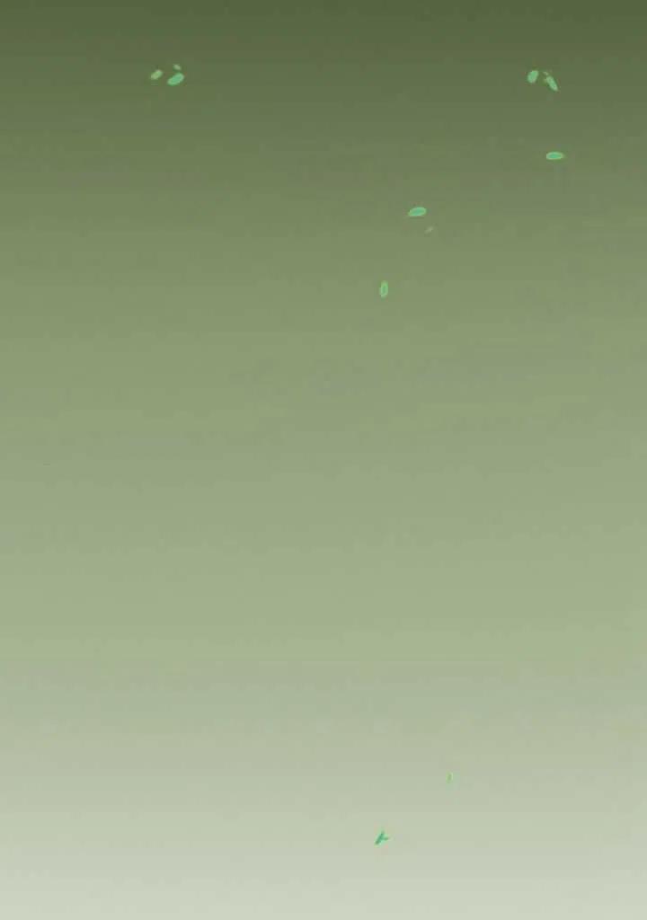 黑色冬季 第88话 第80页