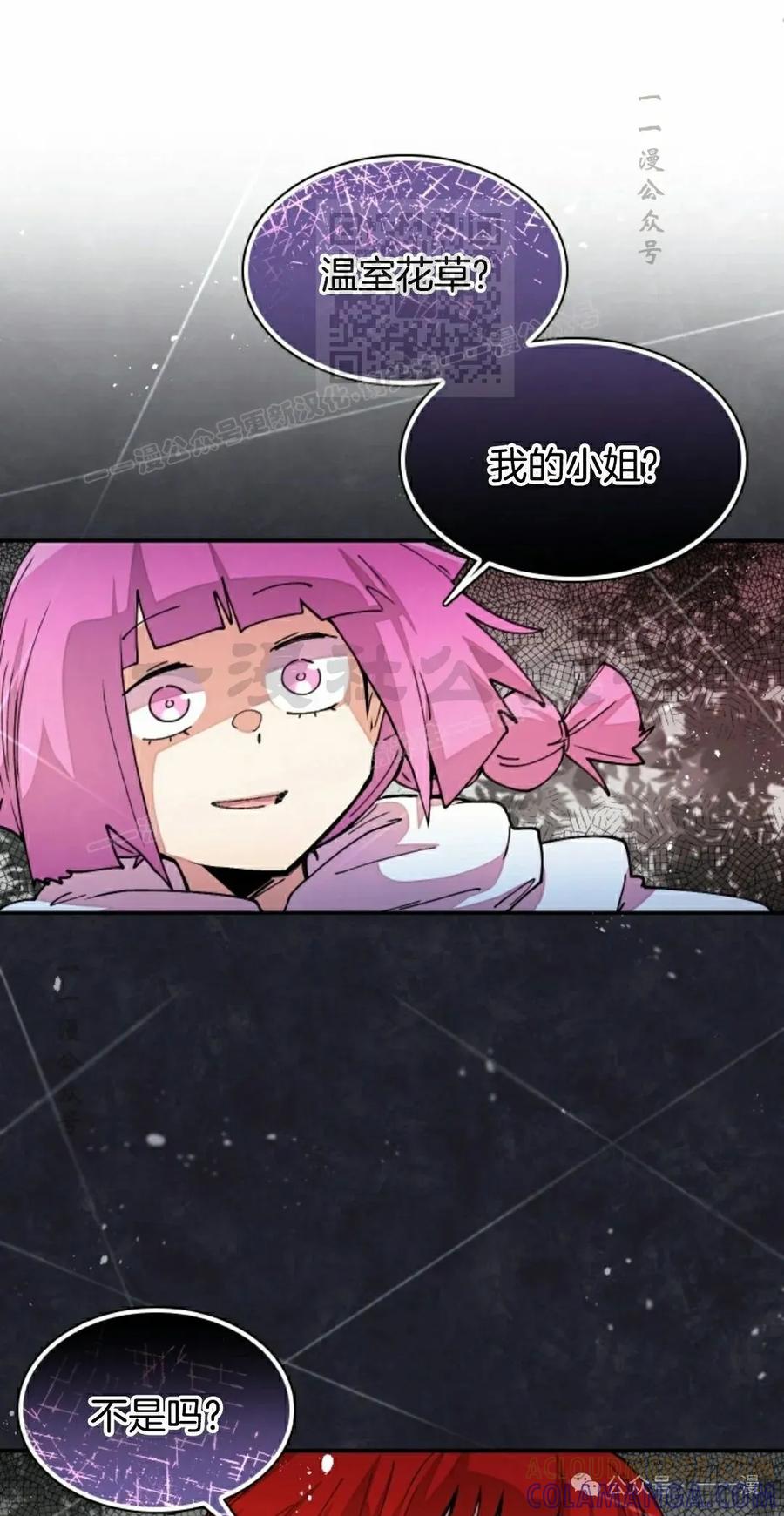 《勇者转世的大魔法师》第50集 第31页