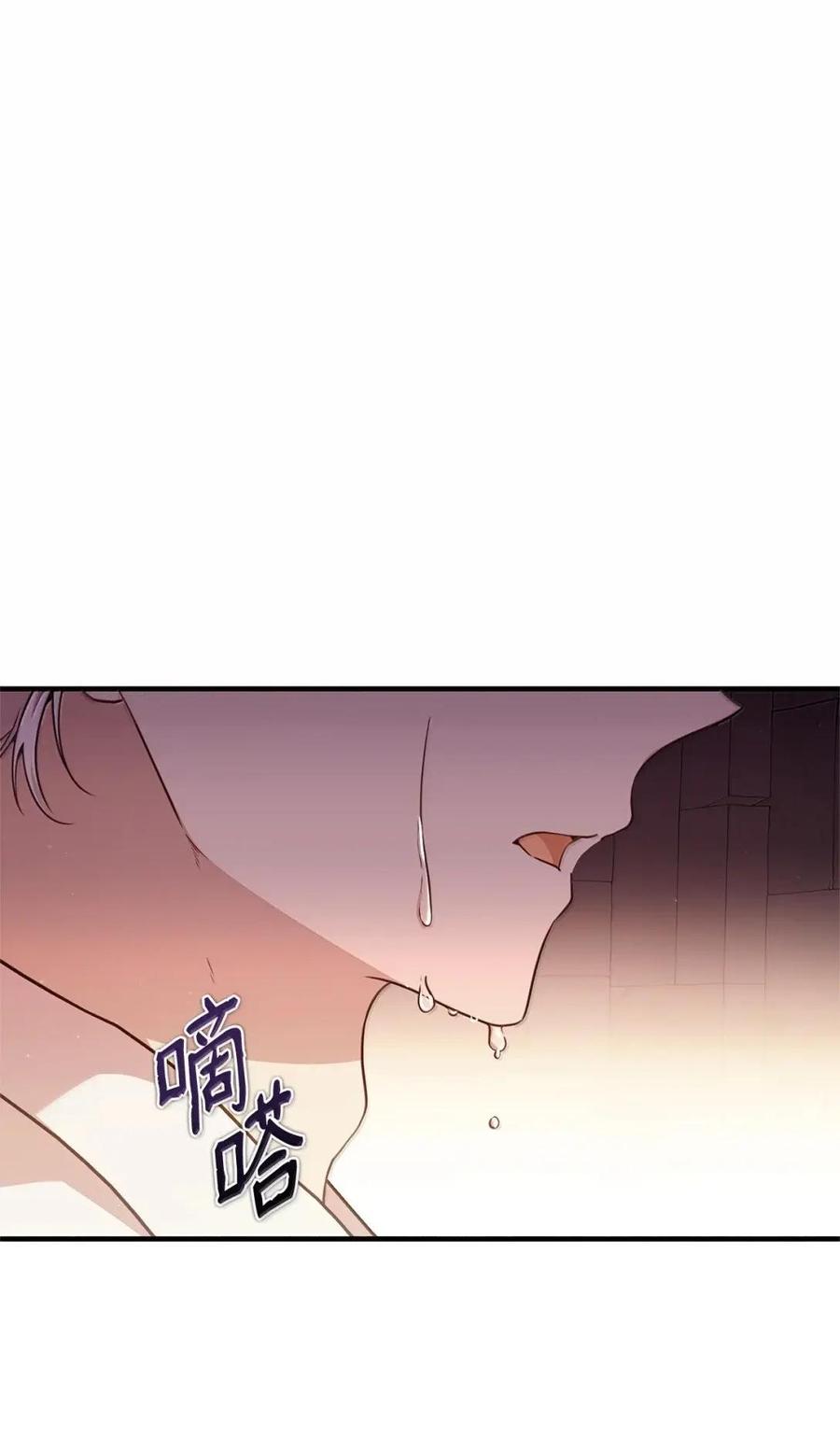 《虽然是魂穿游戏世界里女主的姐粉》73 皇帝的故事 第14页