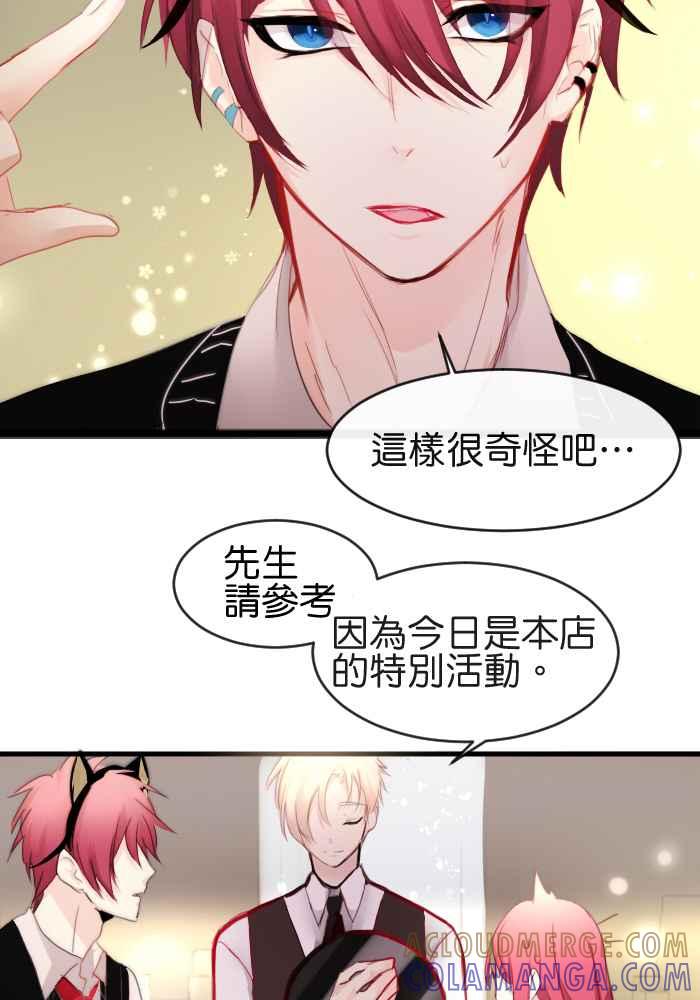 《倾恋的蜜封罐》026-- 命运 第3页