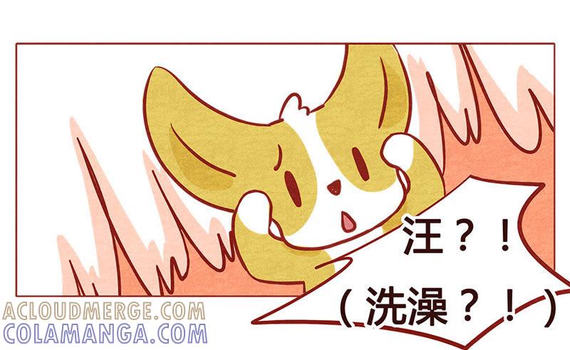 《妹妹？女儿？吸血鬼？》洗澡 第11页