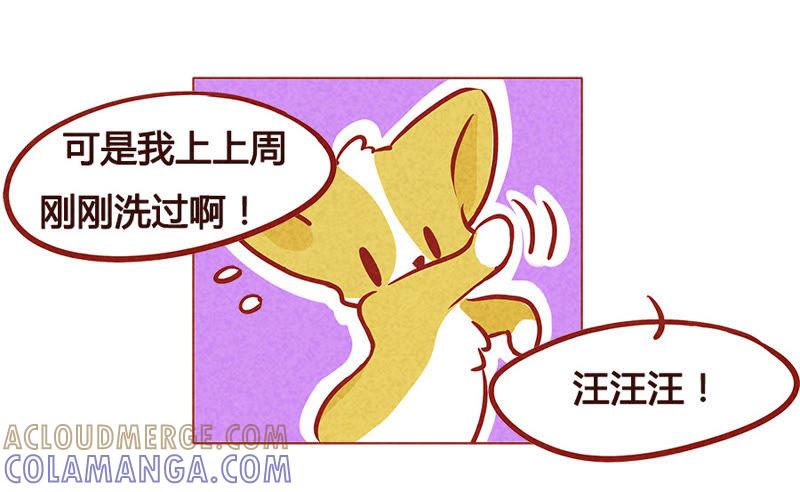 《妹妹？女儿？吸血鬼？》洗澡 第13页