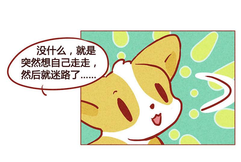 《妹妹？女儿？吸血鬼？》属下救驾来迟 第20页