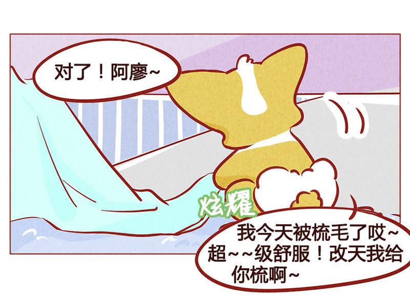 《妹妹？女儿？吸血鬼？》人类的善意 第16页