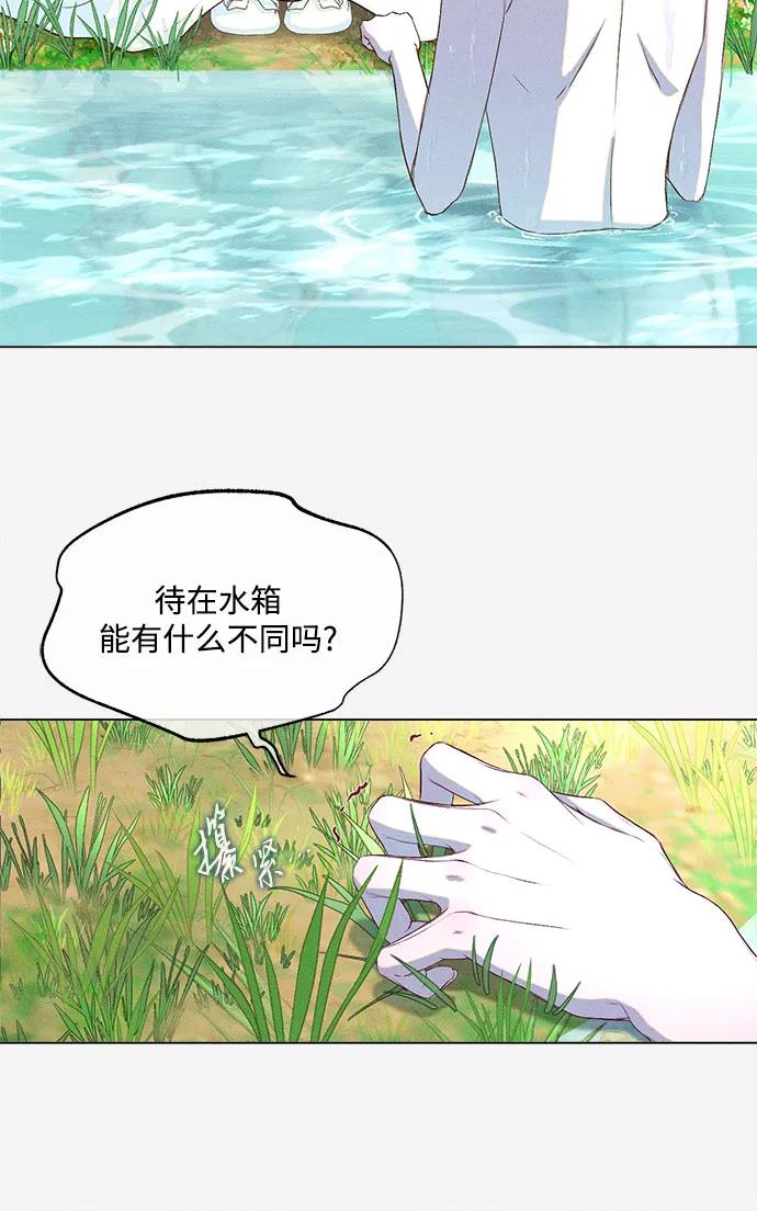 《囚禁在我湖中的人鱼》第3话 第39页