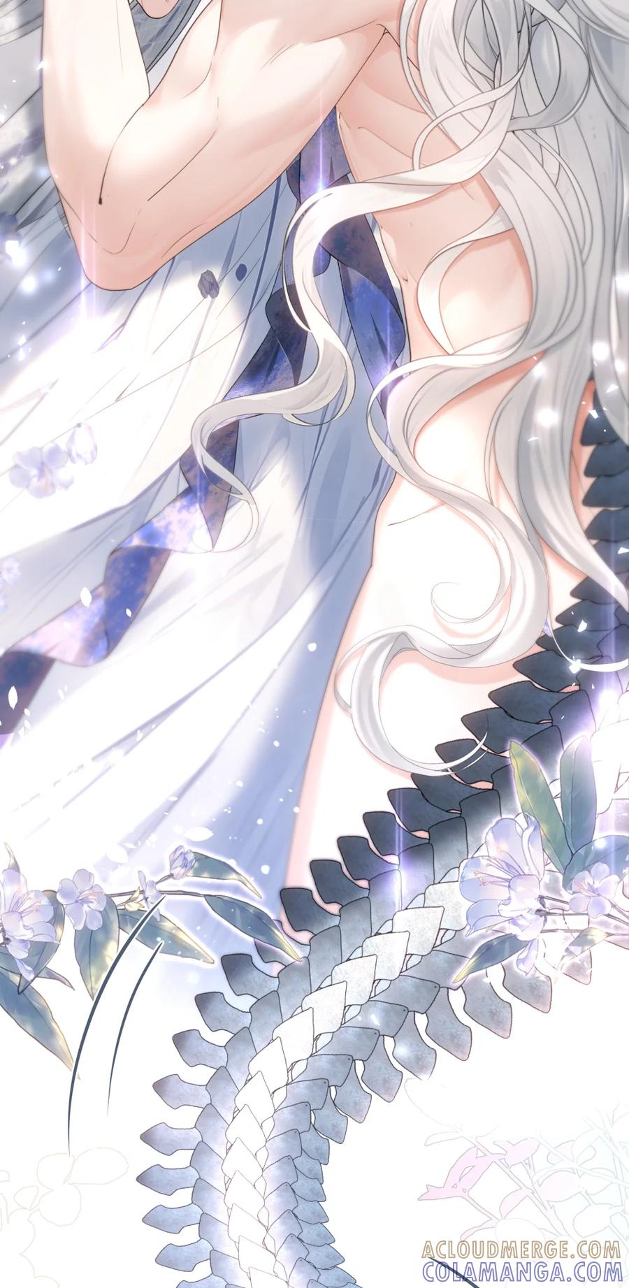 饲养恶龙的新娘 - 003 说爱我吧，新娘 - 第16张图