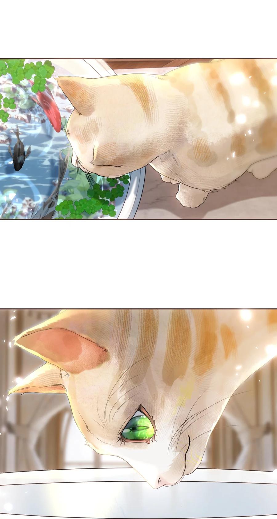 饲养恶龙的新娘 - 003 说爱我吧，新娘 - 第3张图