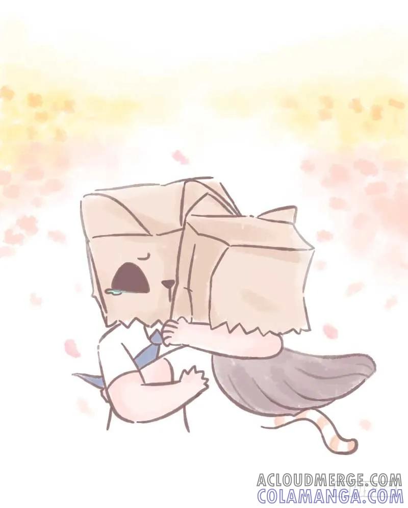 木木子漫画 我什么都不怕，就怕最后不是你2 第2页