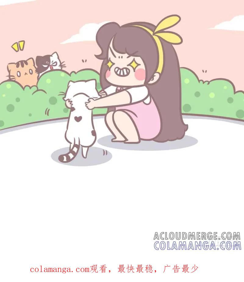 木木子漫画 测一测你是哪种类型的吸猫人？1 第12页