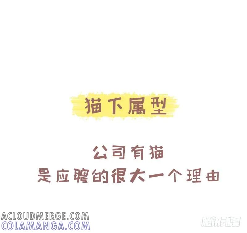 木木子漫画 测一测你是哪种类型的吸猫人？1 第6页