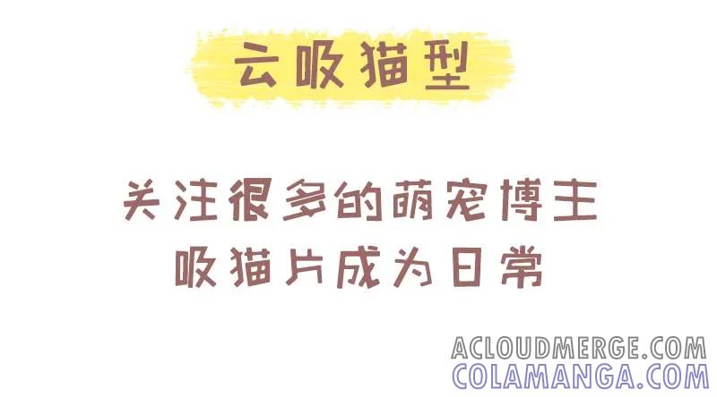 木木子漫画 测一测你是哪种类型的吸猫人？1 第2页