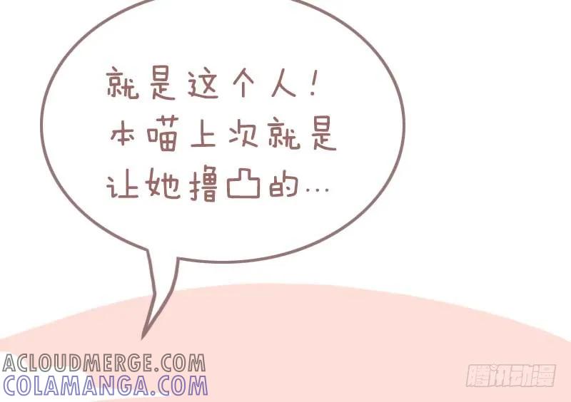 木木子漫画 测一测你是哪种类型的吸猫人？1 第11页