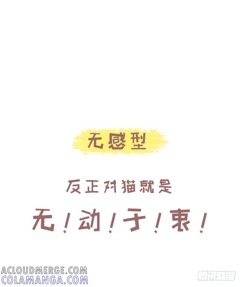 木木子漫画 测一测你是哪种类型的吸猫人？2 第7页