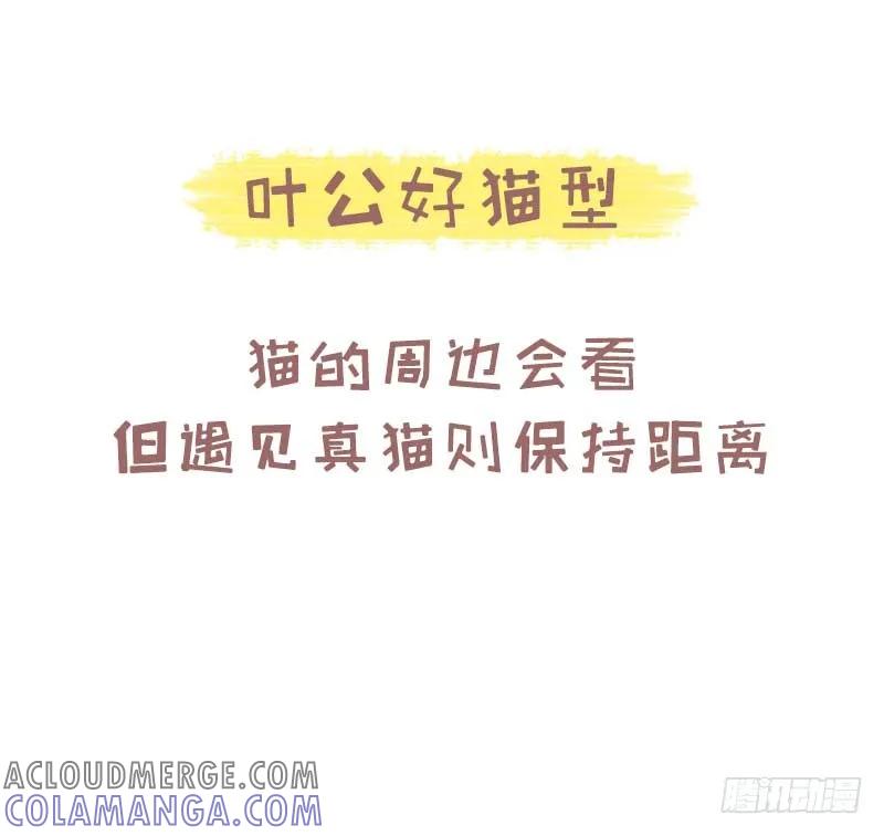 木木子漫画 测一测你是哪种类型的吸猫人？2 第5页
