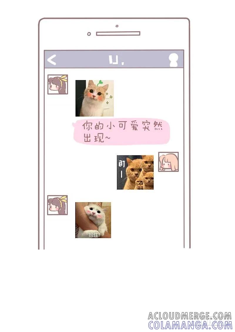 木木子漫画 测一测你是哪种类型的吸猫人？2 第4页