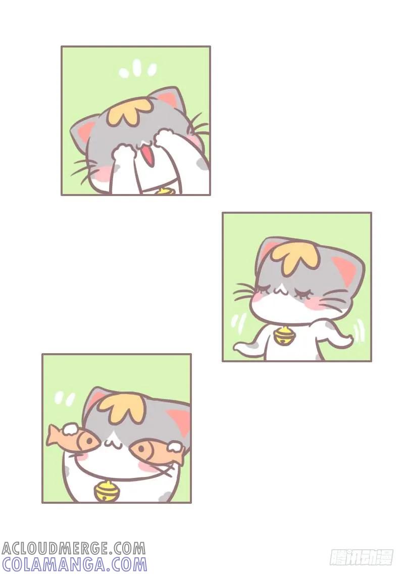 木木子漫画 测一测你是哪种类型的吸猫人？2 第8页