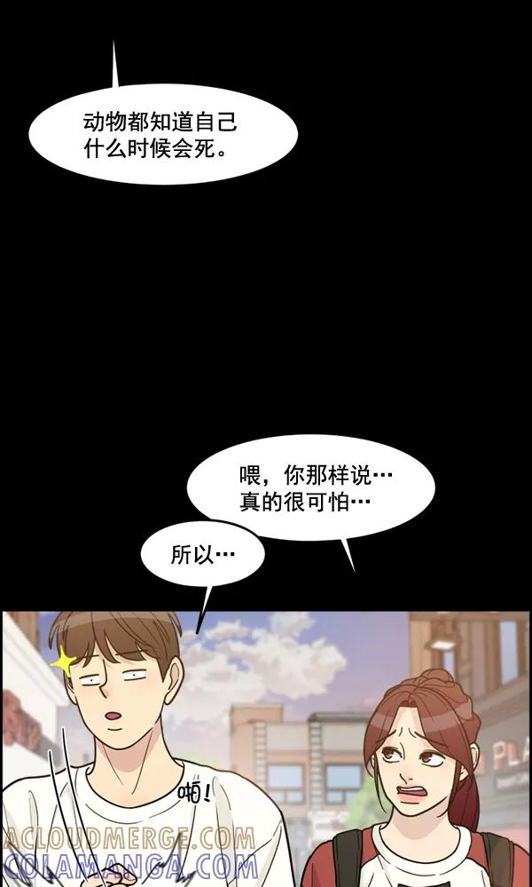 《主人，是我！》[第55话] 我很擅长这个（？） 第49页