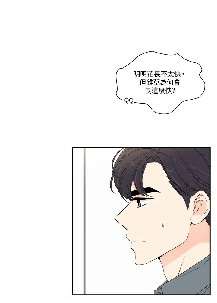 《纵然心痛》第42话 第32页