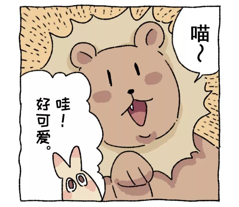 《不切传说》第9话 动物园 第12页