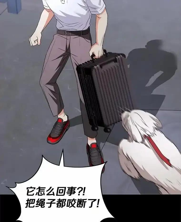 《你好？兽医先生！》59.我们回家吧 第34页
