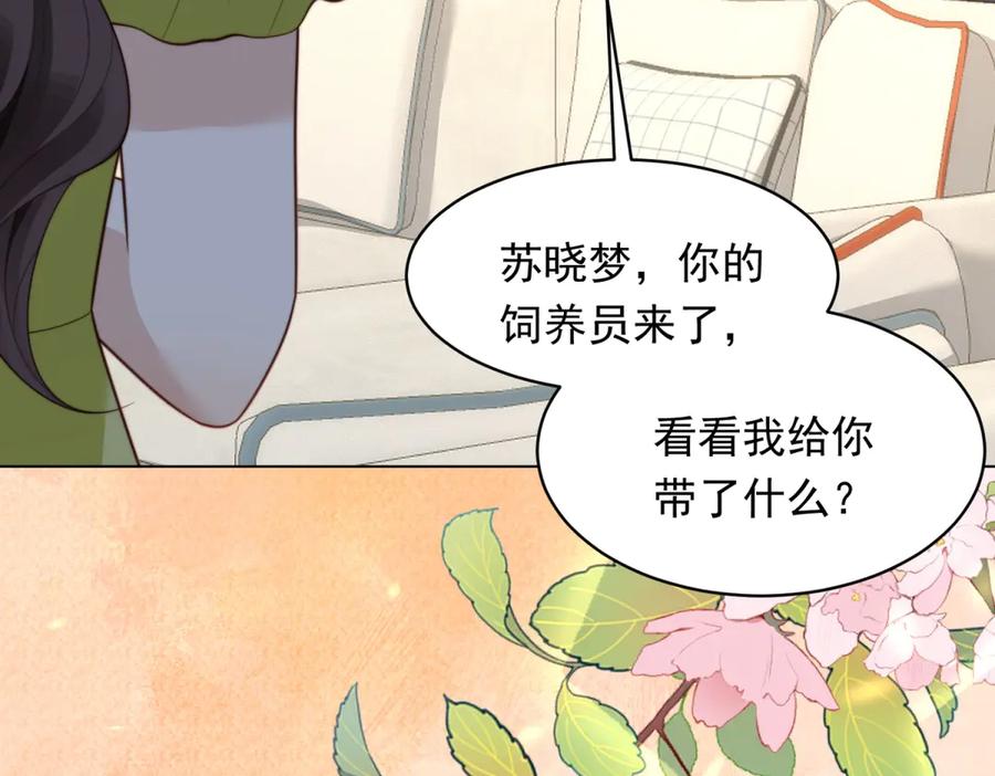 《和植物人大佬联姻》第51话 要不考虑和我在一起？ 第12页