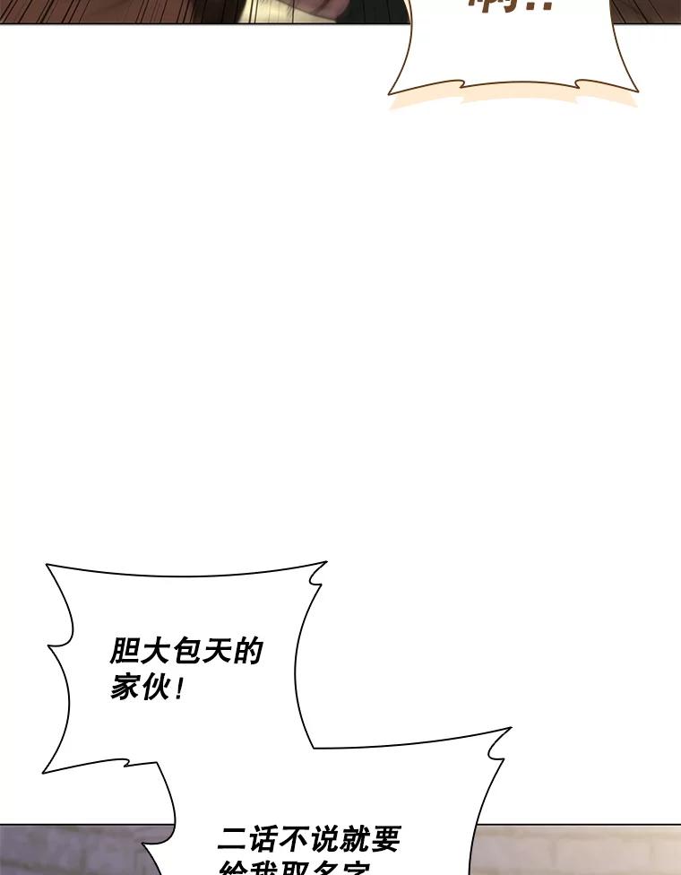 《DragonLady龙女》32.朱力坦的请求 第12页