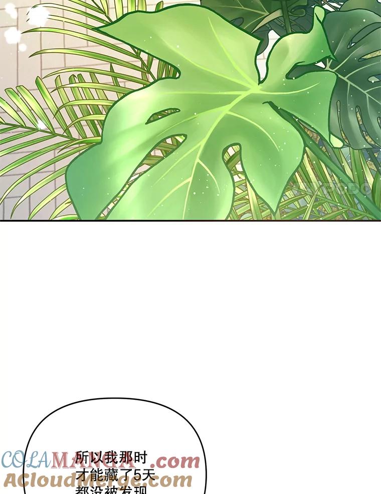 《披荆斩棘的未来》62.下定决心 第73页
