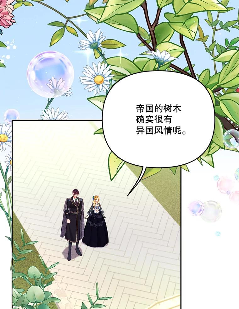 《披荆斩棘的未来》62.下定决心 第71页