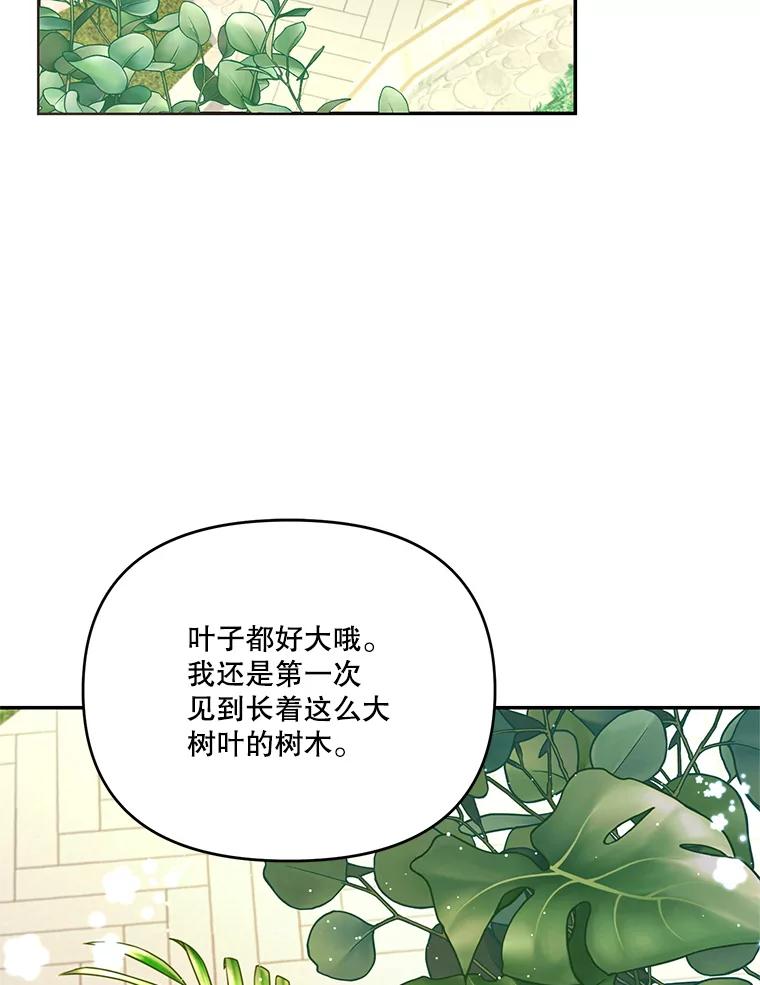 《披荆斩棘的未来》62.下定决心 第72页