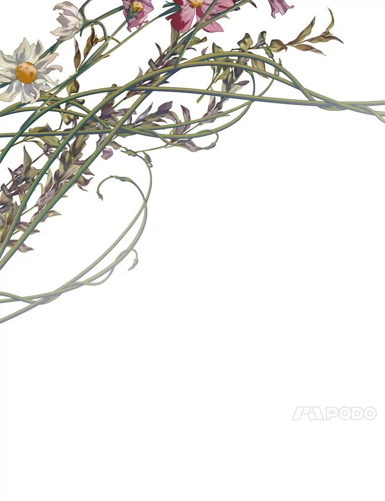 《披荆斩棘的未来》67.得知真相 第36页