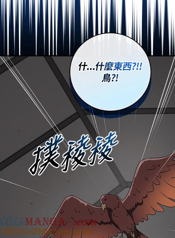 《大魔导士直播中》第71话 第149页