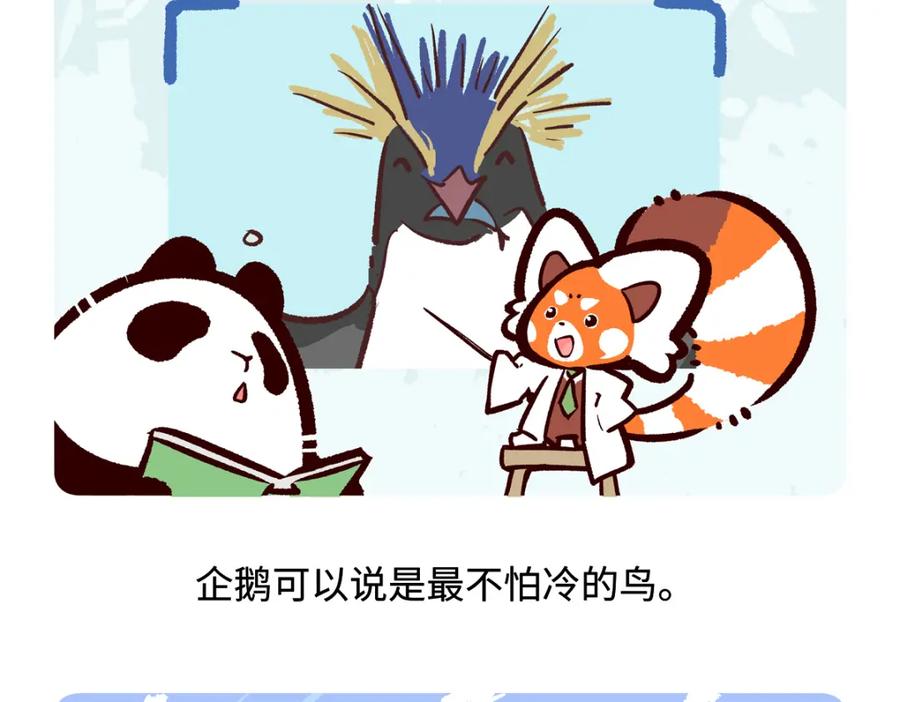 《胖达x胖达》第271话 第26页