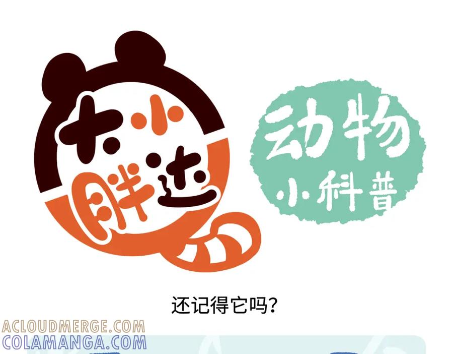 《胖达x胖达》第271话 第25页