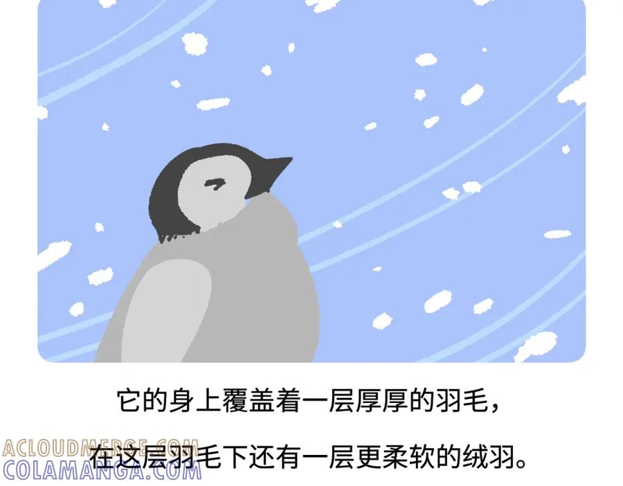 《胖达x胖达》第271话 第27页
