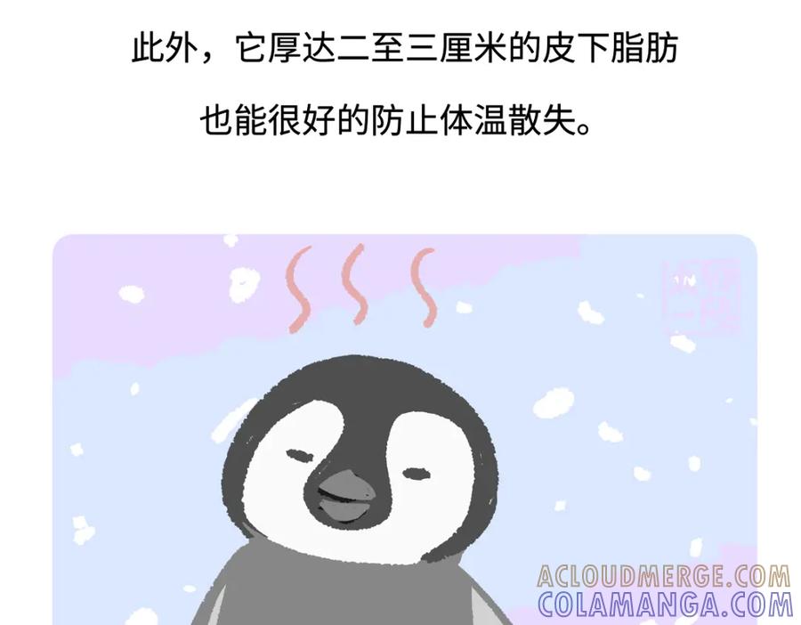 《胖达x胖达》第271话 第29页
