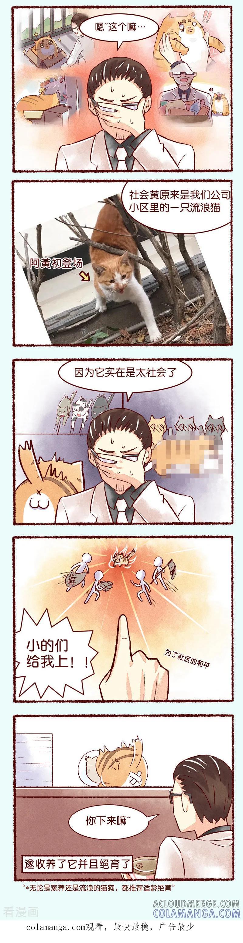 《吾名社会黄》第102话 理想和现实 第2页