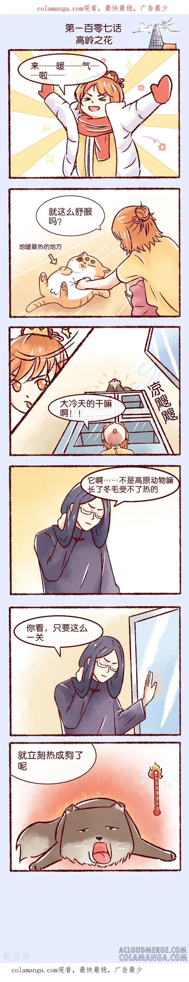 《吾名社会黄》第107话 高岭之花 第1页