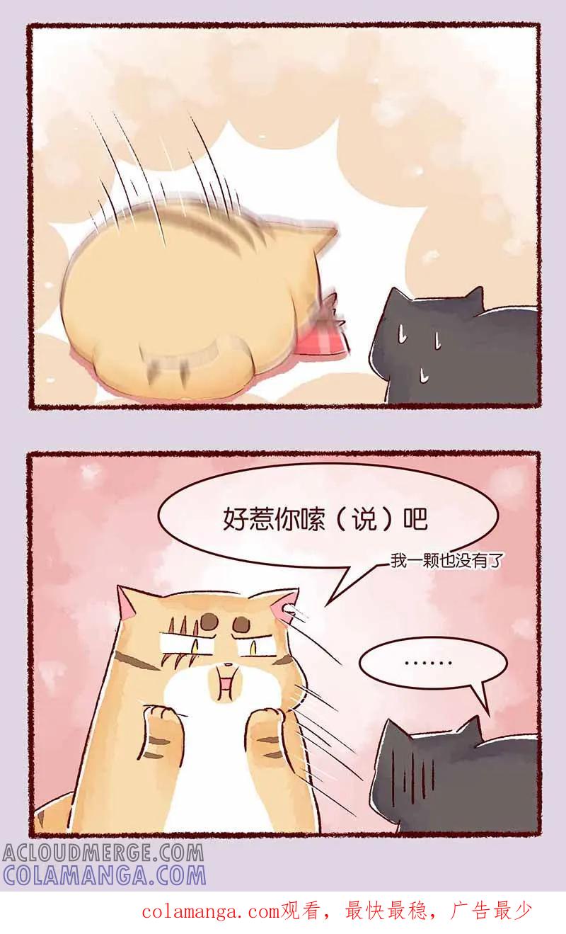 《吾名社会黄》第114话 阿黑 第3页