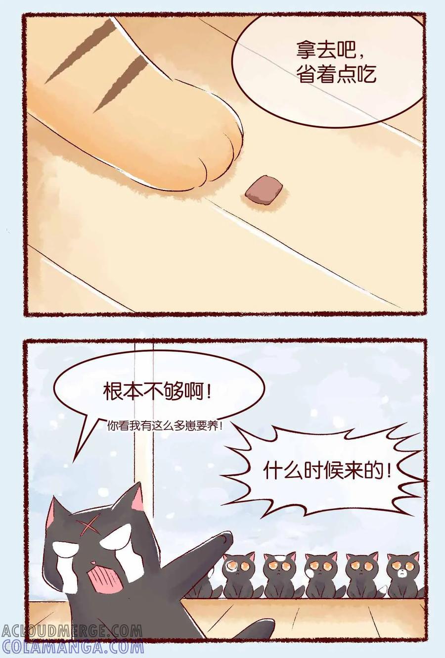 《吾名社会黄》第115话 怜悯 第2页