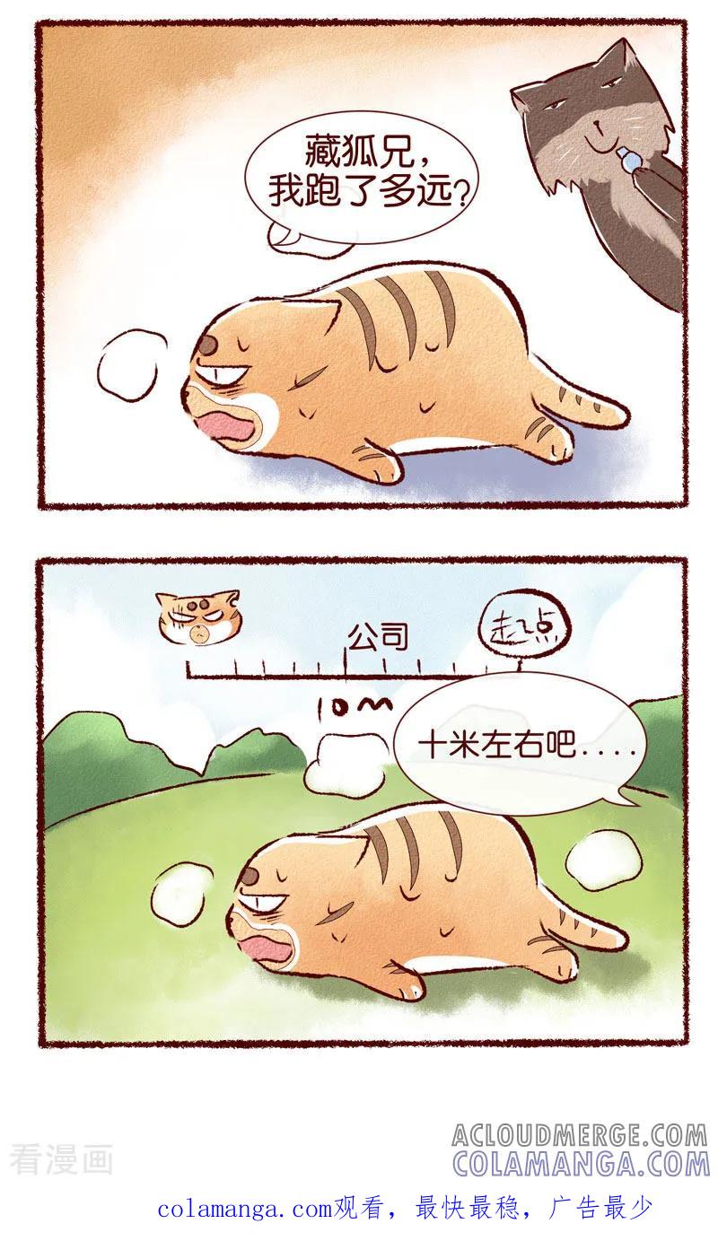 《吾名社会黄》第81话 运动的快乐 第4页