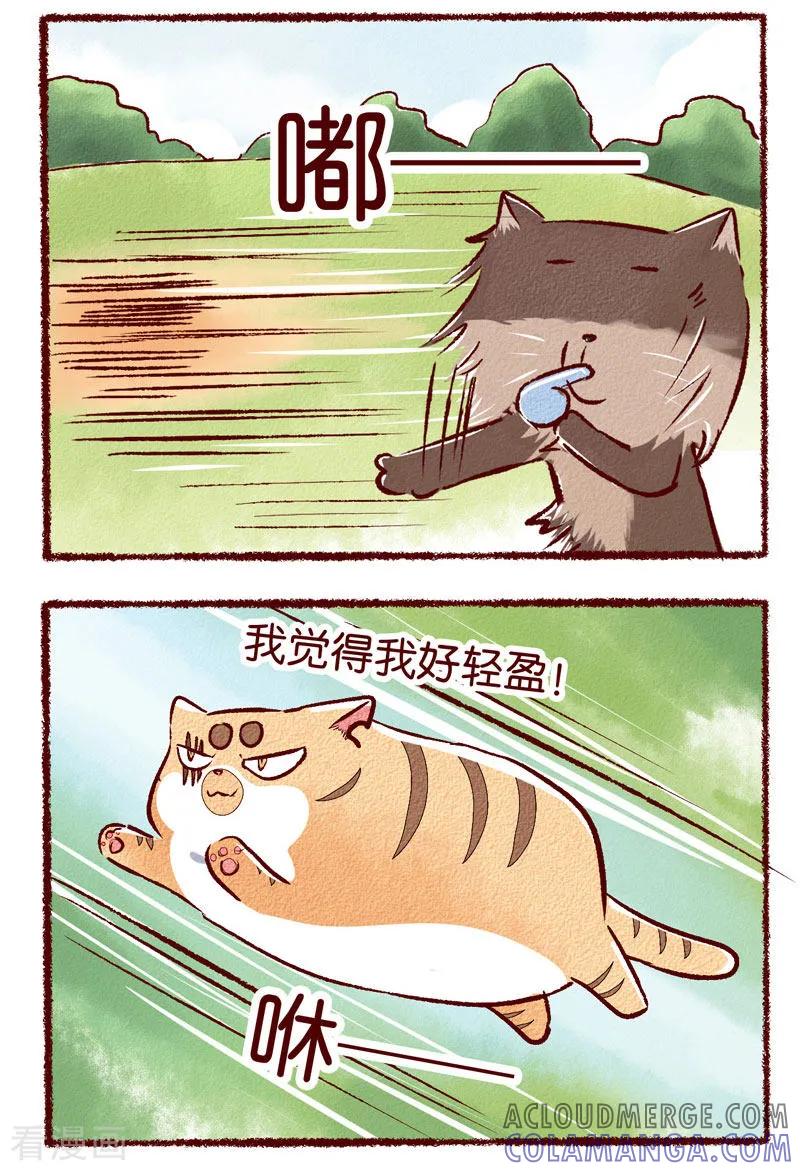 《吾名社会黄》第81话 运动的快乐 第2页