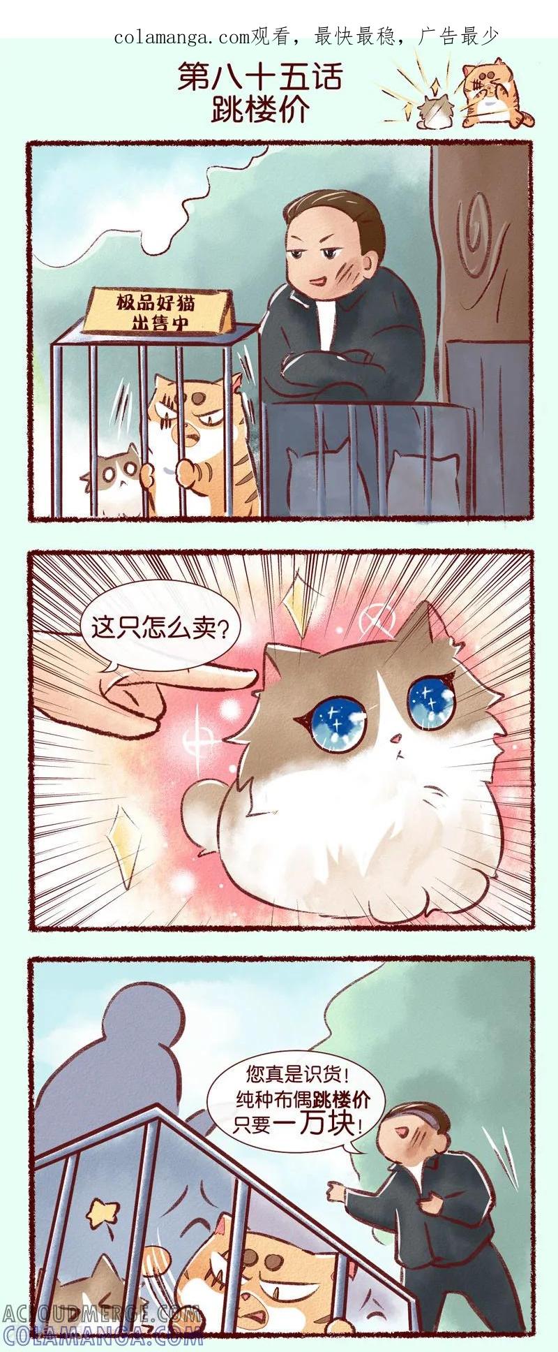 《吾名社会黄》第85话 跳楼价 第1页
