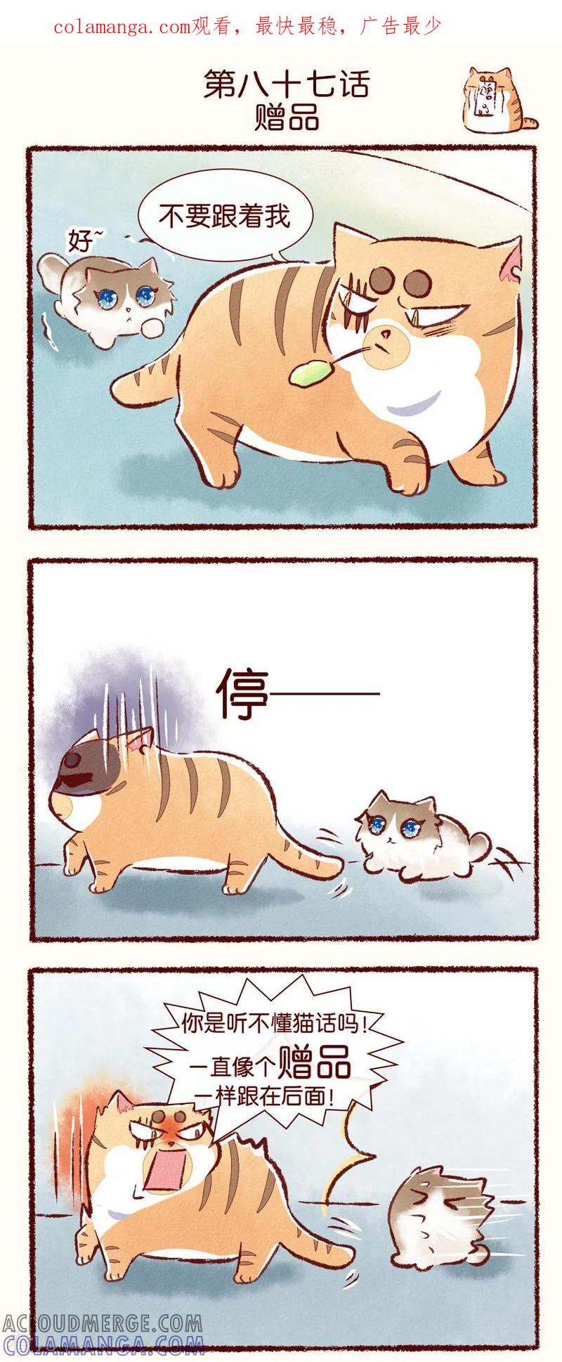 《吾名社会黄》第87话 赠品 第1页