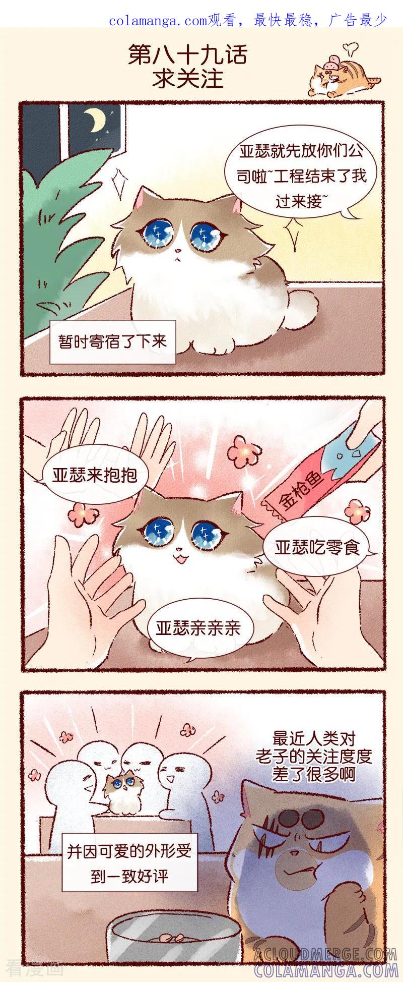 《吾名社会黄》第89话 求关注 第1页