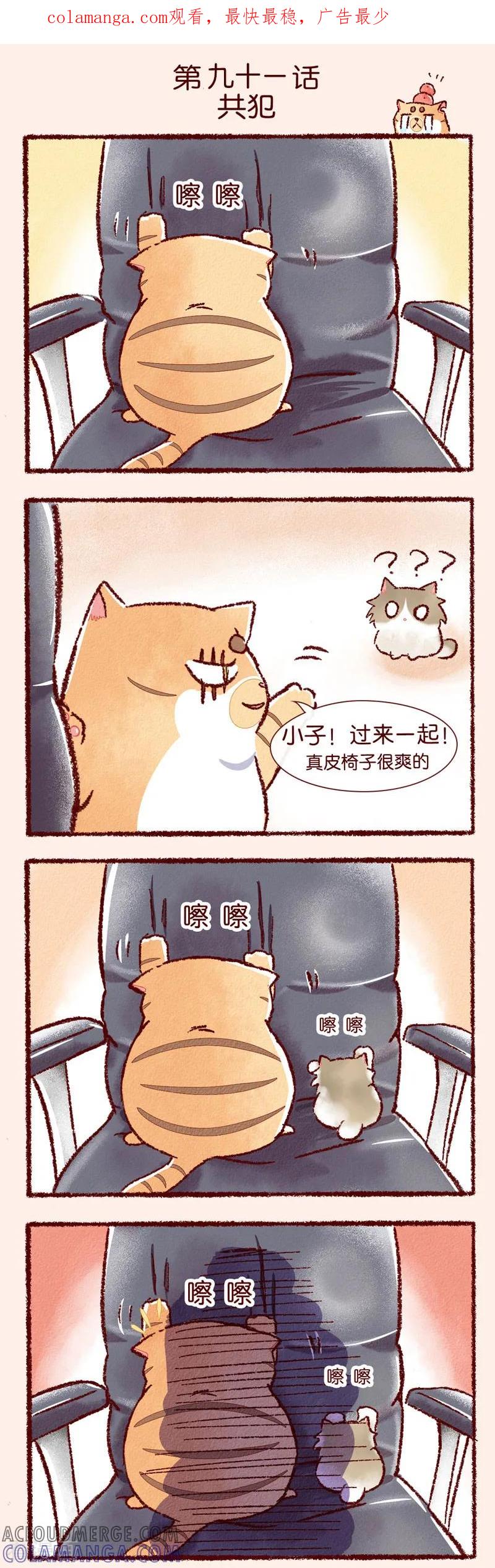 《吾名社会黄》第91话 共犯 第1页