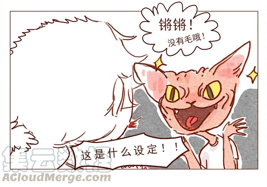 喂，看见耳朵啦 - 第3话 自由变换 - 第5张图